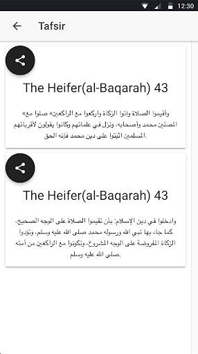 Quran Topics скриншот 5