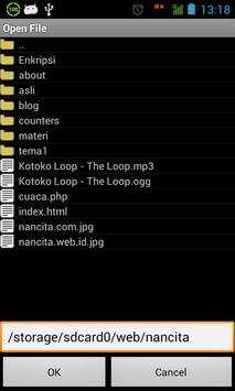 Offline Browser screenshot 2