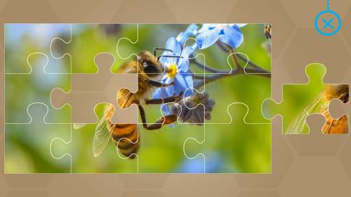 Animals for Kids - Flashcards, Puzzles & Sounds screenshot 15