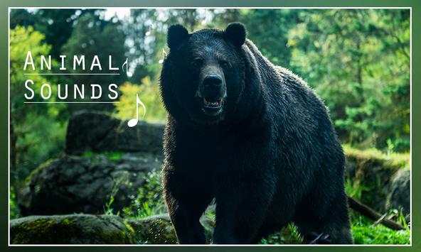 Animal Sounds screenshot 5