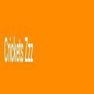 Crickets Zzz screenshot 2