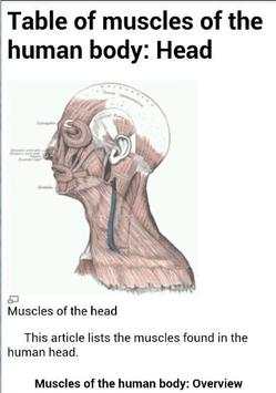 Human Anatomy screenshot 4