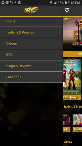 ARY Films screenshot 4