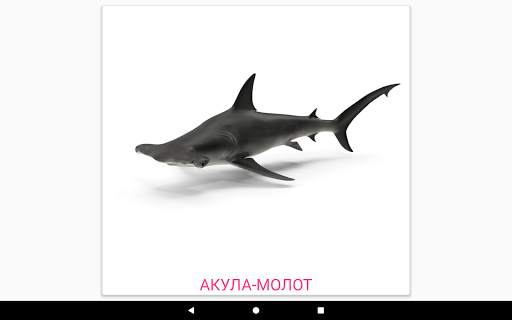 Карточки Домана screenshot 19