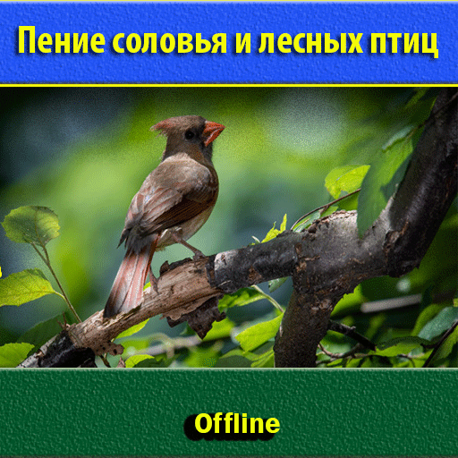 Пение соловья и лесных птиц icon
