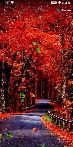 Road Live Wallpaper screenshot 4