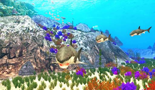 The Shark screenshot 10