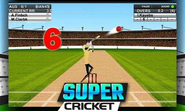 Super Cricket Championship screenshot 3