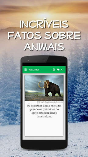 Curiosidades Animais Incríveis screenshot 1