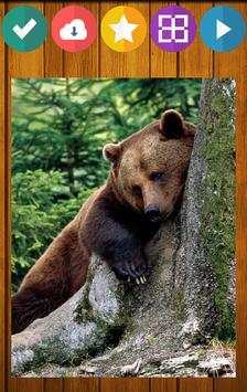 Bear Bears Puzzle screenshot 7