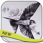 Bird Tattos Design 5.0