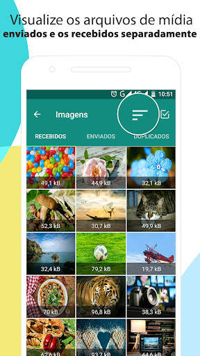 Limpador para WhatsApp screenshot 2