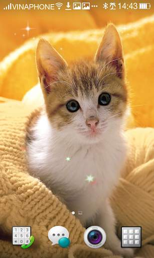Cat Live Wallpaper HD 4K screenshot 4