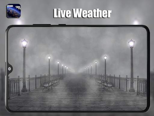 Live Public Cams-Live Earth Web Cams screenshot 7