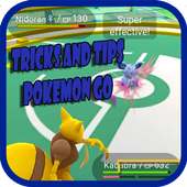 Tricks and Tips Pokemon Go