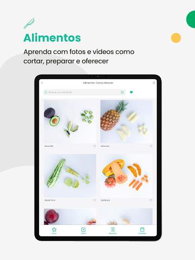 BLW Brasil - Introdução Alimentar e Receitas Bebês 13 تصوير الشاشة