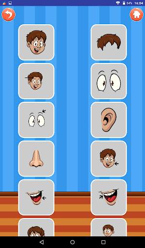 Learn About Body Parts screenshot 12