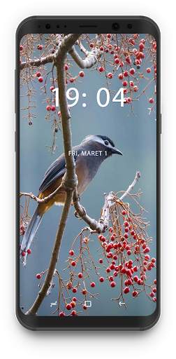 Bird Wallpapers 🦜 screenshot 2