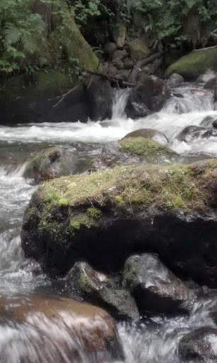 Water and stone live wallpaper screenshot 3
