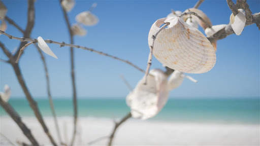 Beach Wallpaper screenshot 1