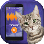 Cat Simulator Translator icon