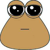 Mister Pou 21
