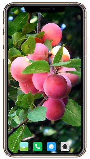 Fruit Trees Wallpaper HD screenshot 11
