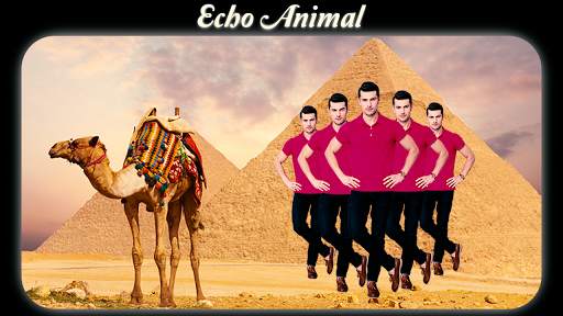Echo Animal Effect : best echo 3 تصوير الشاشة