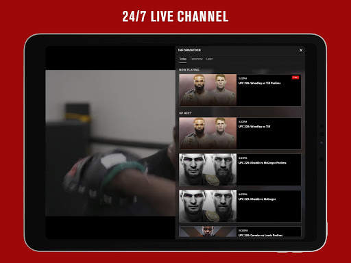 UFC screenshot 11
