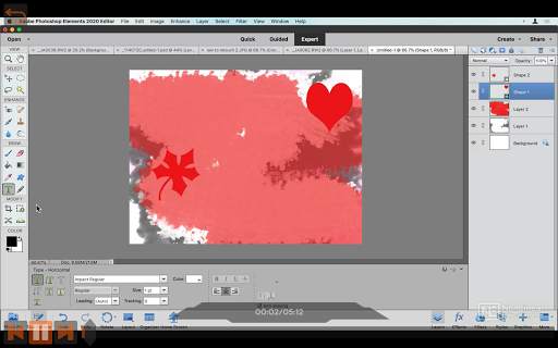 Edit Photos in Elements Course By Ask.Video screenshot 3