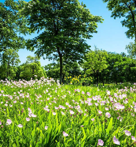 Spring Garden Wallpaper screenshot 3