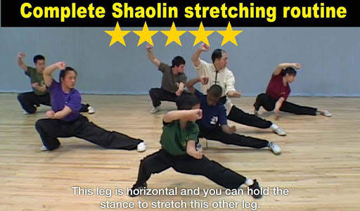 Shaolin Kung Fu screenshot 3