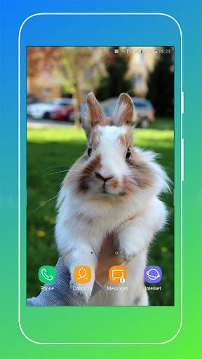 Rabbit Wallpaper screenshot 5