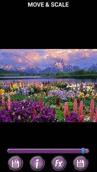 Spring Flowers Backgrounds HD screenshot 4