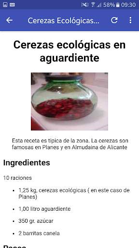 Cocteles screenshot 8