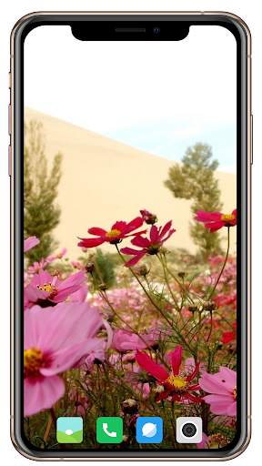 Spring  Wallpaper HD screenshot 12