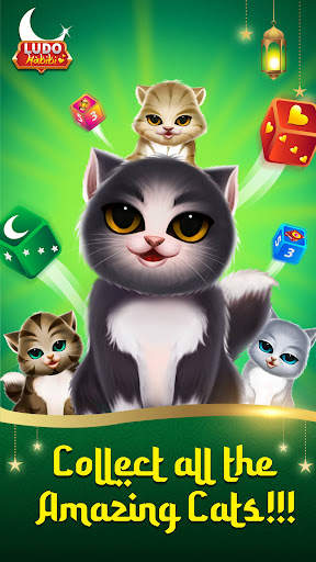 Ludo Habibi screenshot 5