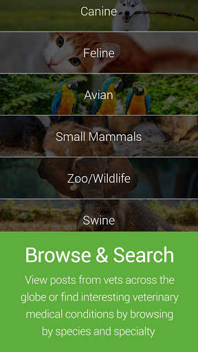ViralVet - Veterinary Cases screenshot 1