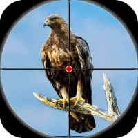 Desert Birds Sniper Shooter - Berburu Burung 2019 on 9Apps