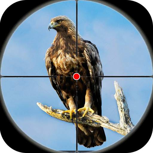 Desert Birds Sniper Shooter - Bird Hunting 2019 4.0