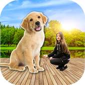 Big Camera Maker - Photo Editor logo