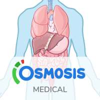 Osmosis Med Videos & Notes