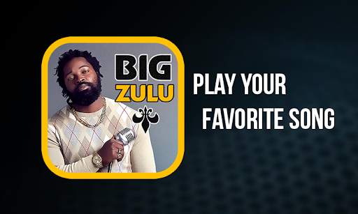 Big Zulu Songs screenshot 1