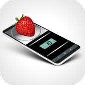ESCALA DIGITAL / SIMULADOR icon