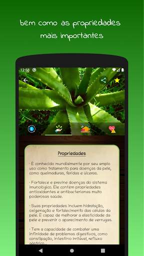 myRemedy: Plantas medicinais e seus usos screenshot 5