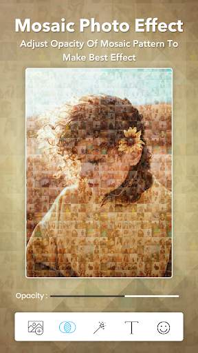 Mosaic Photo Effects screenshot 2