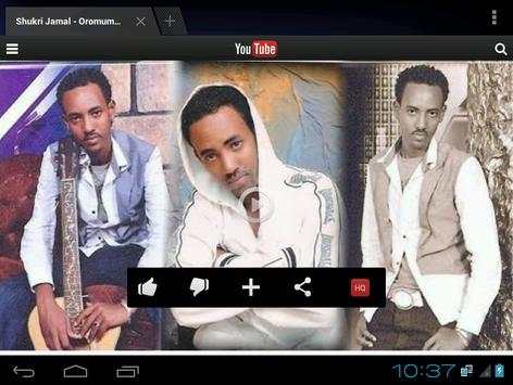 Oromo Songs 2014 screenshot 2