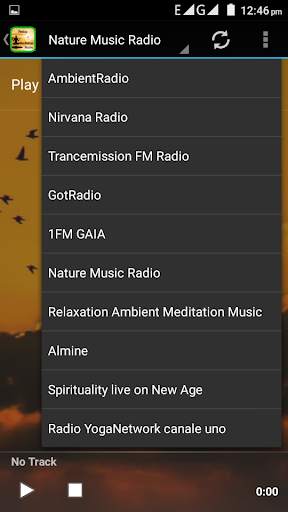 Relax & Medation Radio screenshot 5