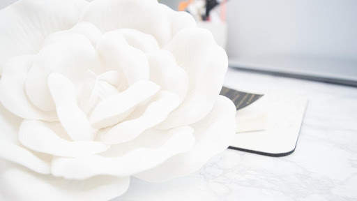 White Background screenshot 5