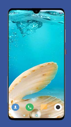 Seashell Wallpaper HD screenshot 13